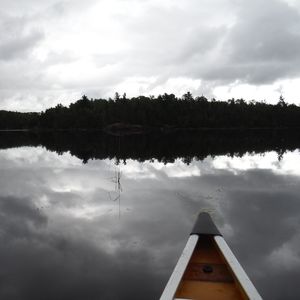 Meet your Posher, Ginger